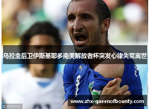 乌拉圭后卫伊斯基耶多南美解放者杯突发心律失常离世