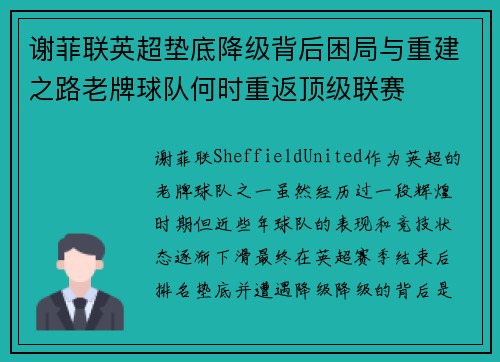 谢菲联英超垫底降级背后困局与重建之路老牌球队何时重返顶级联赛