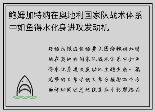 鲍姆加特纳在奥地利国家队战术体系中如鱼得水化身进攻发动机